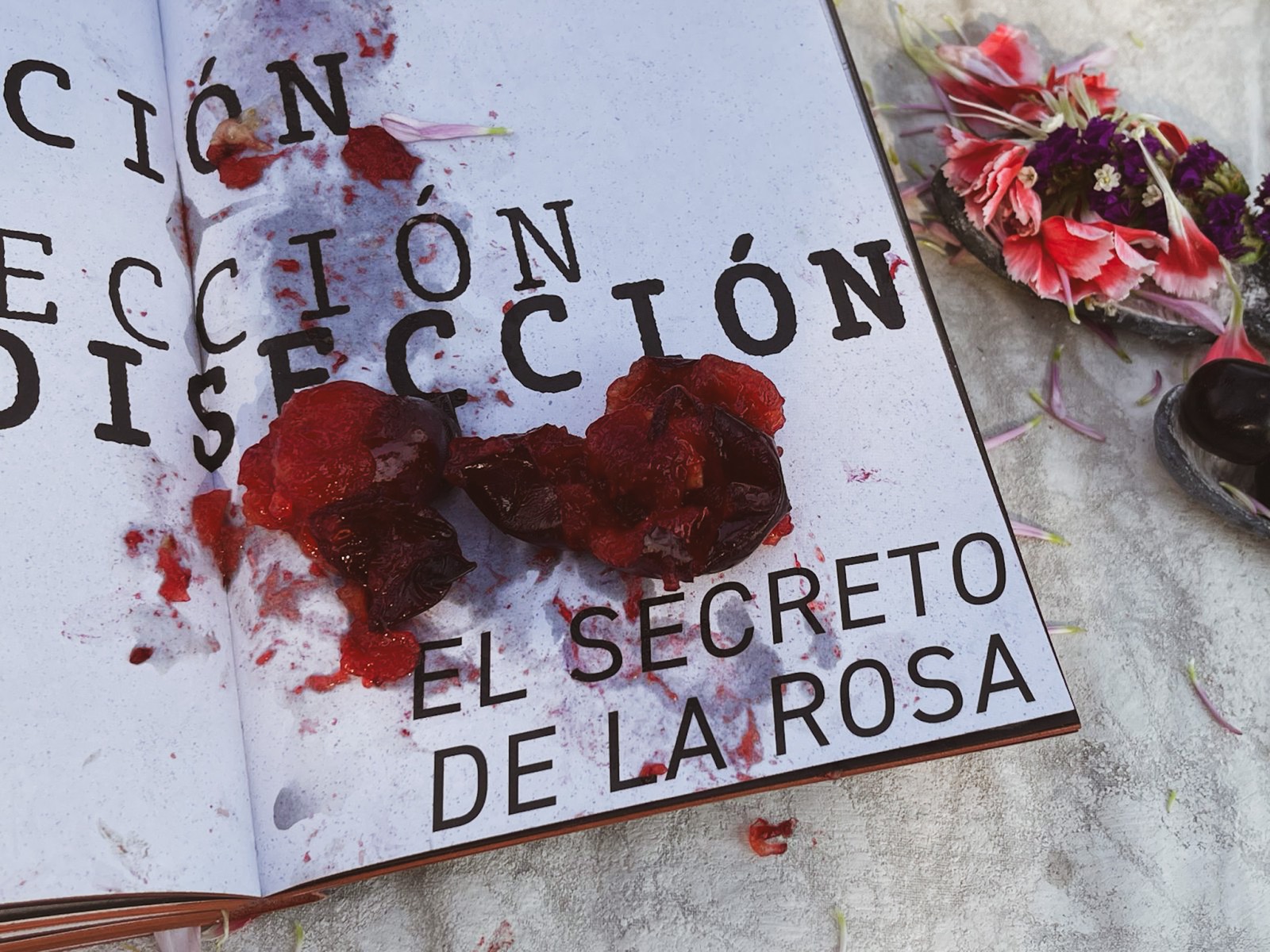 Doble página de El círculo de la rosa con la palabra Disección repetida en gran tamaño y el título El secreto de la rosa, manchada con pulpa de fruta roja.
