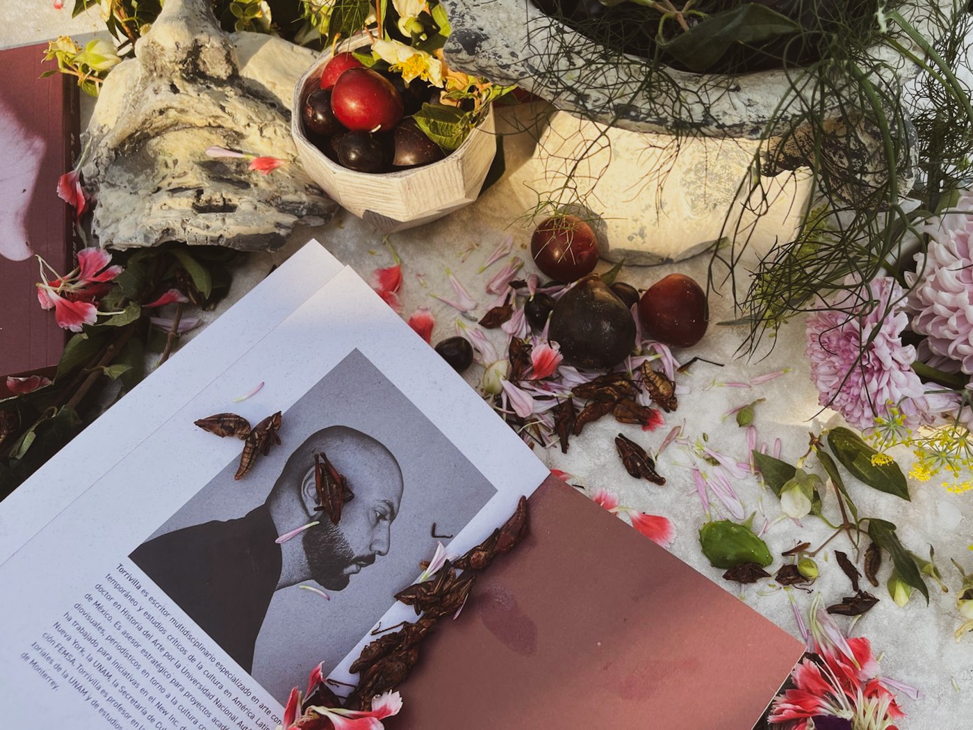 Doble página del libro con un retrato en blanco y negro de Roberto Obregón de perfil, cubierto de pétalos secos, entre flores y frutas oscuras.