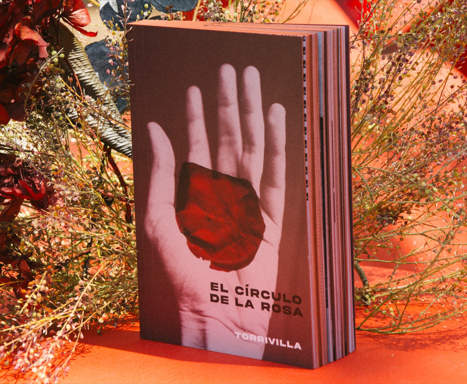 El círculo de la rosa — libro de Torrivilla sobre arte conceptual venezolano, Profoundation 2024