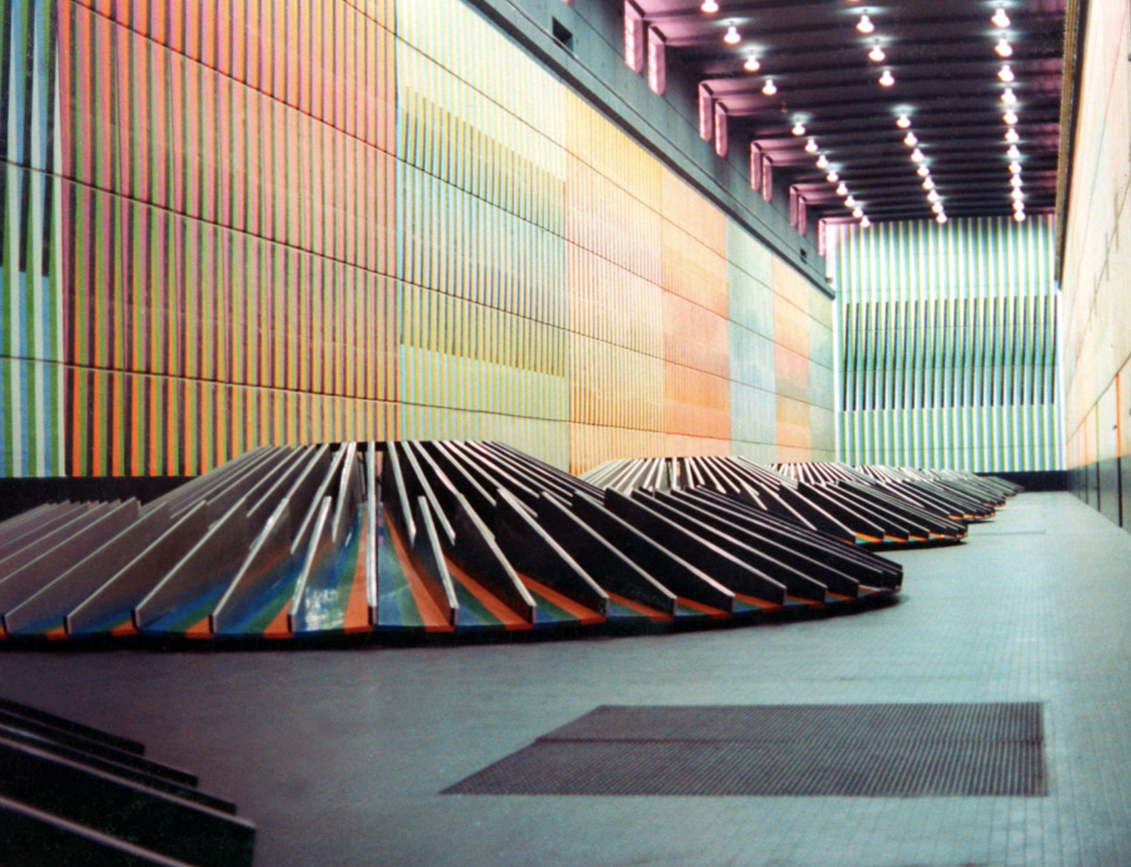 Carlos Cruz-Diez con flores rojas, retrato del artista venezolano conocido por su Mural de Color Aditivo en la Central Hidroeléctrica Simón Bolívar de Guri, Venezuela