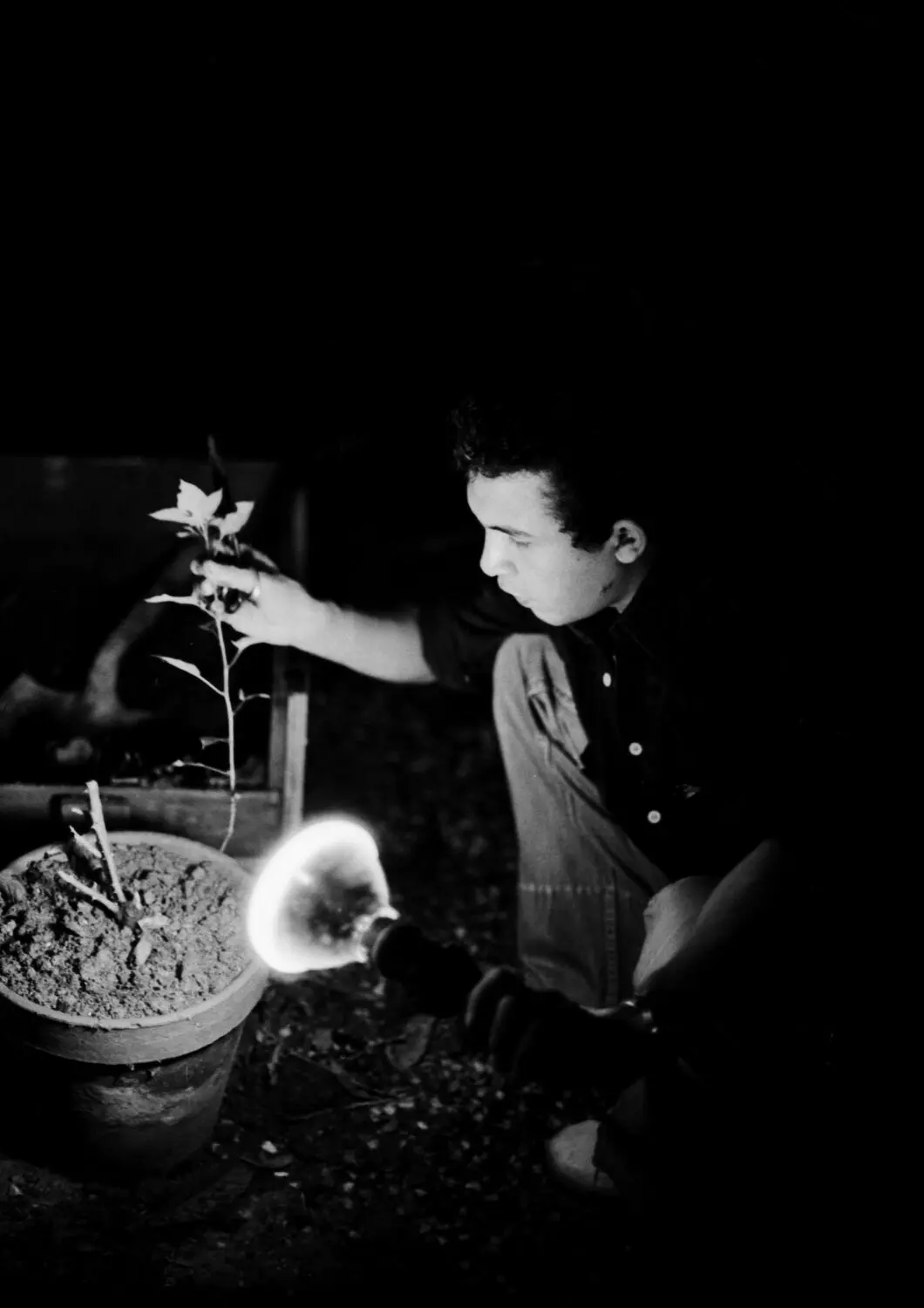 Roberto Obregón joven cultivando una planta en el jardín, fotografía en blanco y negro, Archivo Fotografía Urbana